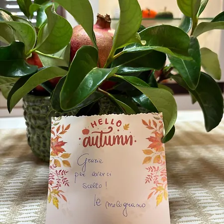 Il Melograno Διαμέρισμα *