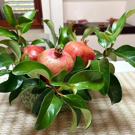 Apartman Il Melograno *