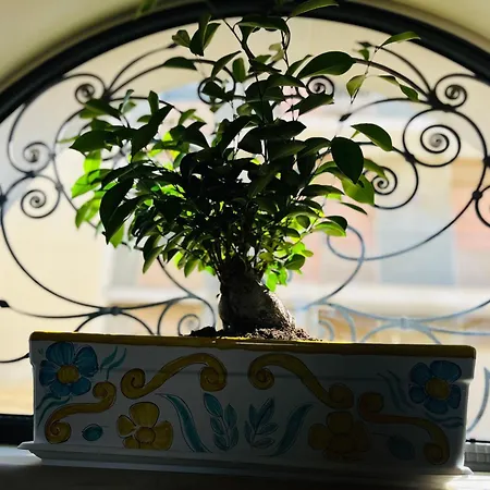 Il Melograno